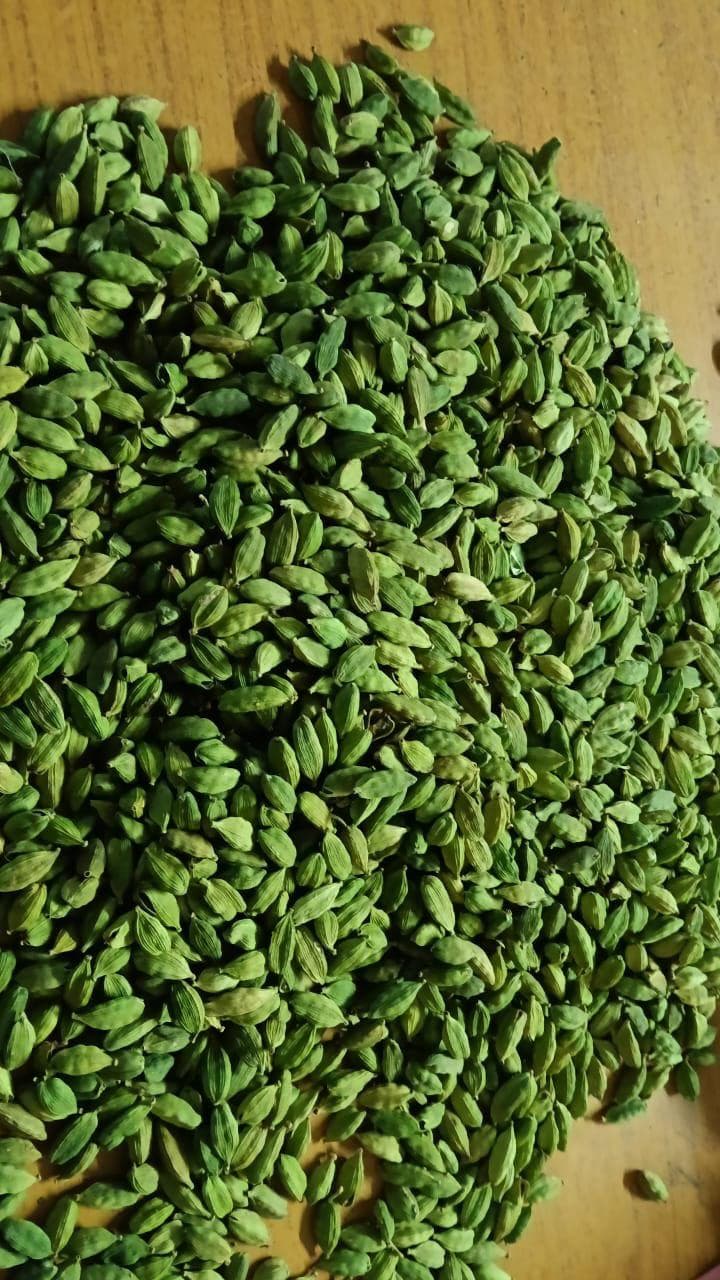 Cardamom