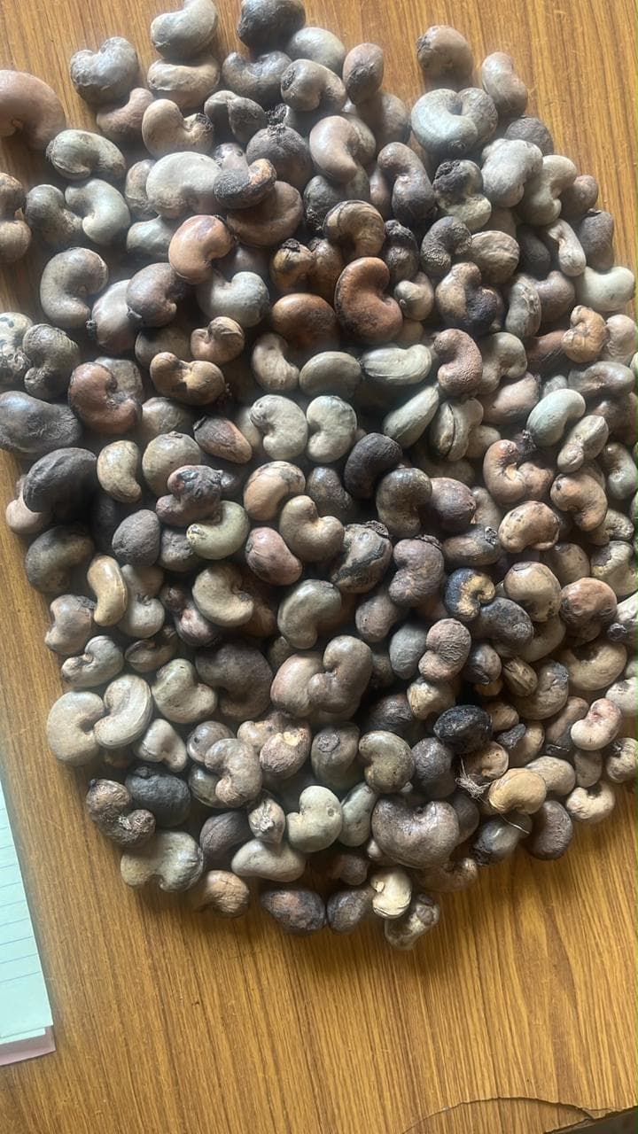 Raw cashews