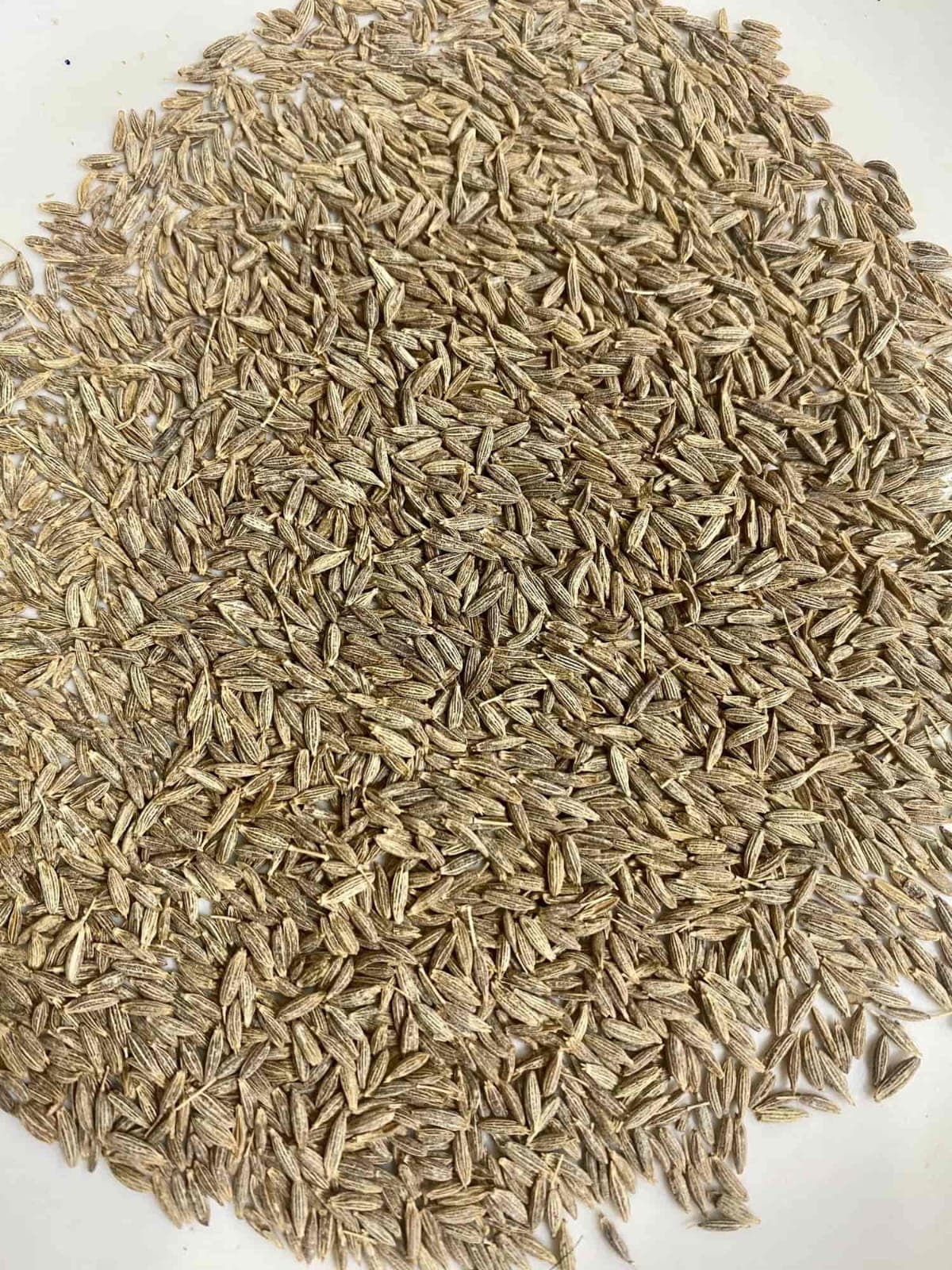 Jeera (cumin)