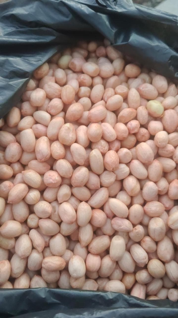 Peanuts