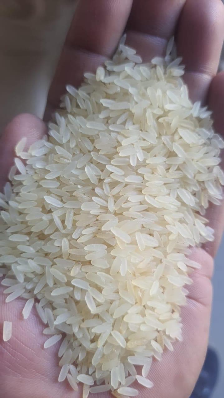 Rice grain, hand sampled
