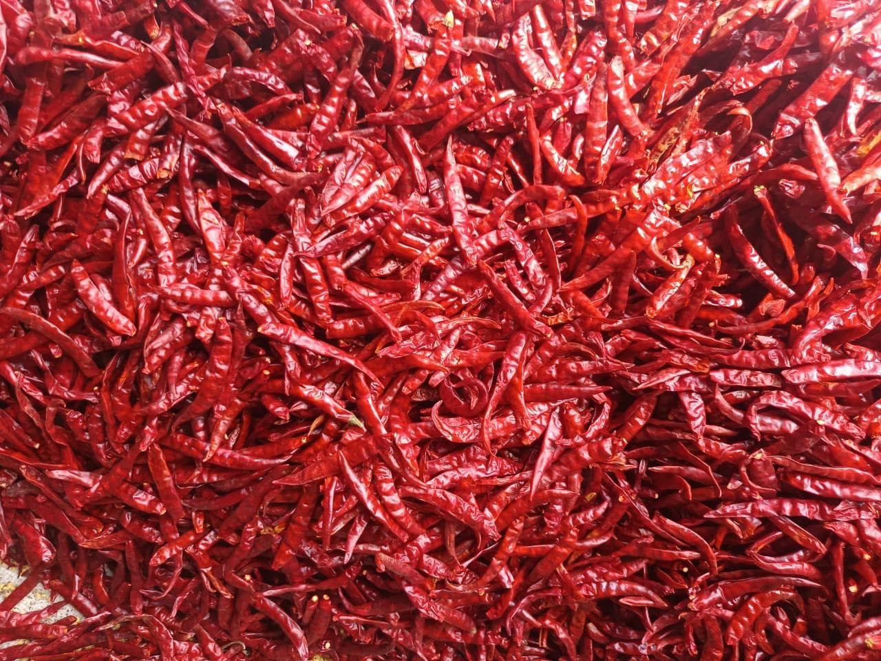 Teja
